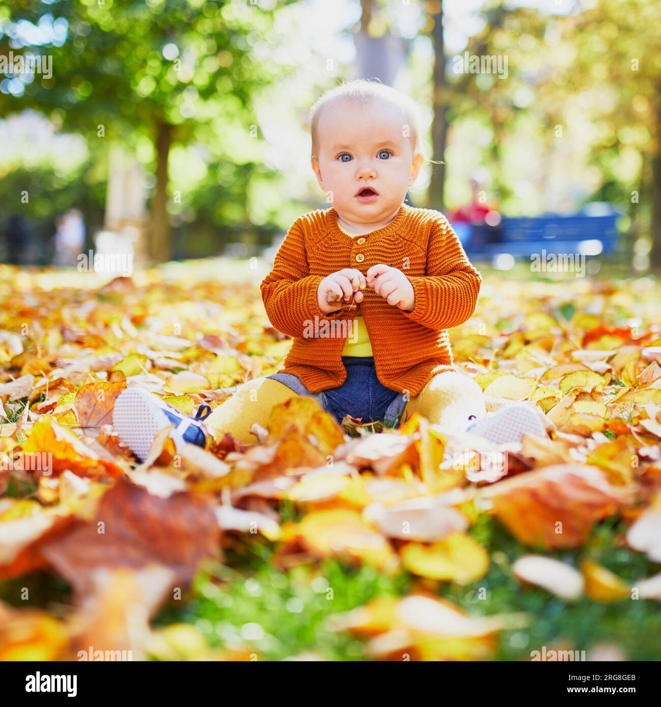 Adorable petite fille assise sur le sol dans le parc et jouant avec des feuilles d'automne colorées sur un jour lumineux d'automne Banque D'Images