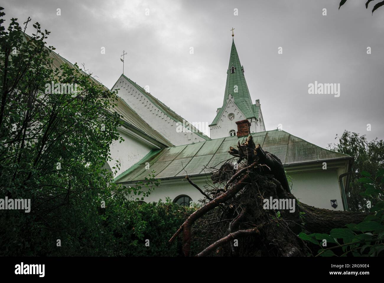 Racines d'un arbre tombé juste en face de l'église luthérienne de Dobele après une tempête dévastatrice à Dobele, Lettonie, Zemgale Banque D'Images