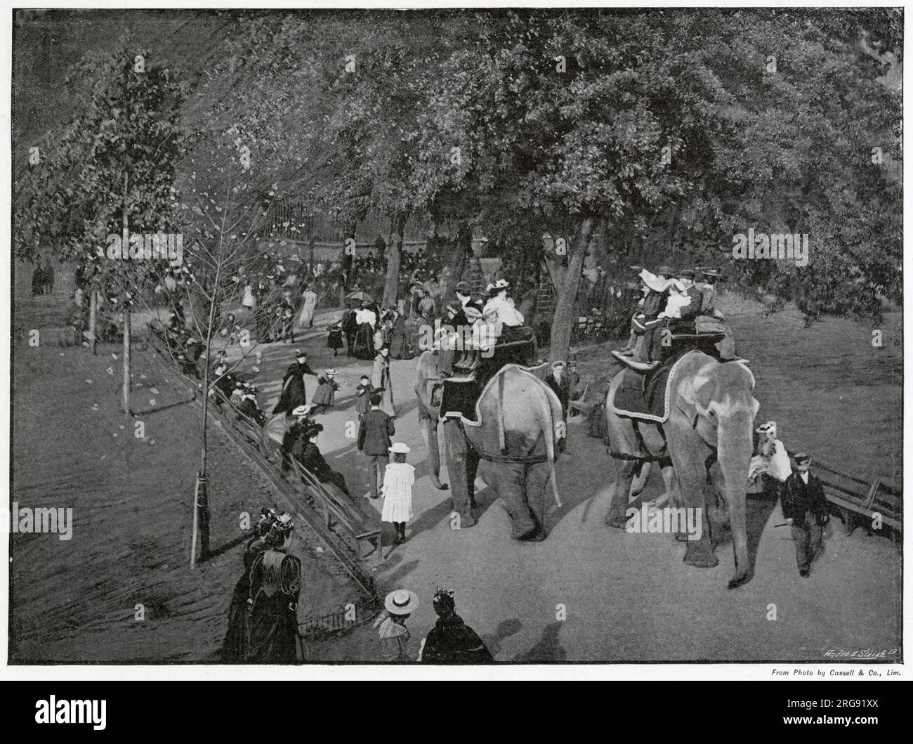 Une des caractéristiques populaires du zoo pour les hommes, les femmes et les enfants, à cheval sur les éléphants indiens par une chaude journée d'été. Banque D'Images