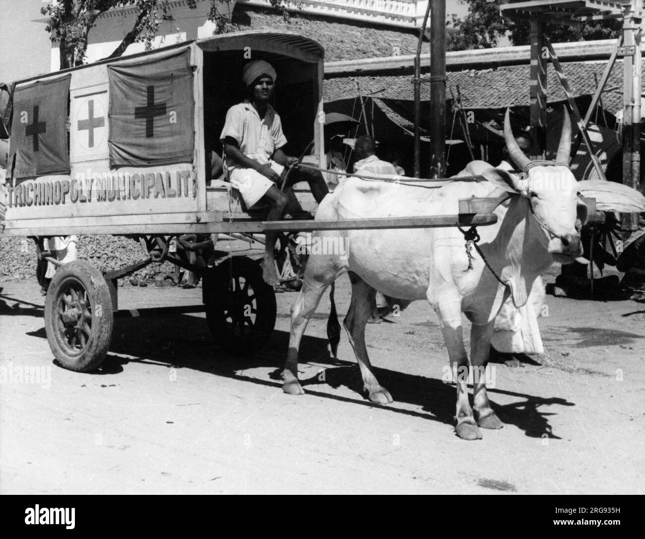 Bullock Cart (Ambulance) - Tiruchirappali (Trichinopole), Tamil Nadu, Inde. Banque D'Images