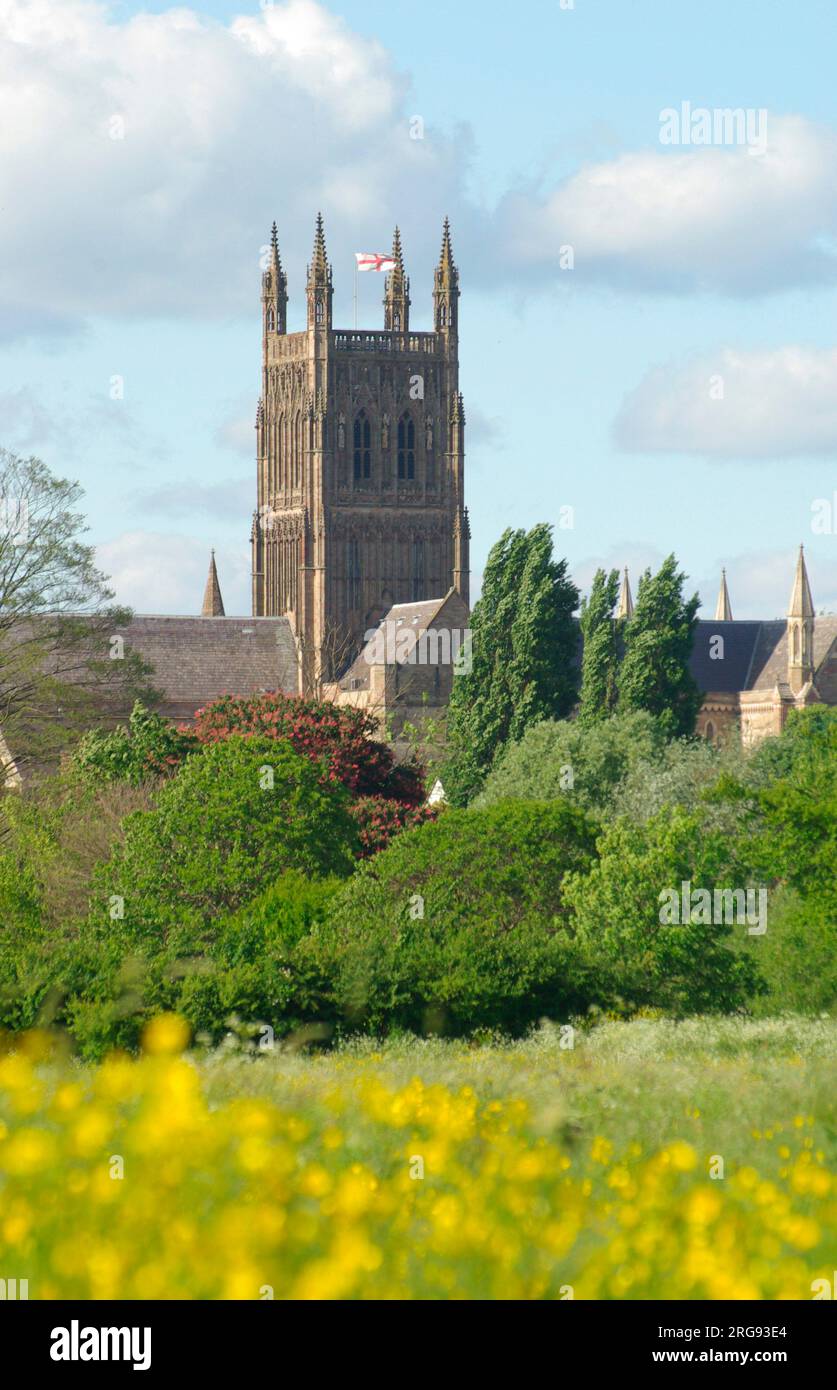 Vue de la cathédrale de Worcester, Worcester, près de la rivière Severn. Son nom complet est la Cathédrale de l'Église du Christ et de la Bienheureuse Marie la Vierge de Worcester. Construit entre 1084 et 1504, il représente tous les styles de l'architecture anglaise de Norman à gothique perpendiculaire. Banque D'Images