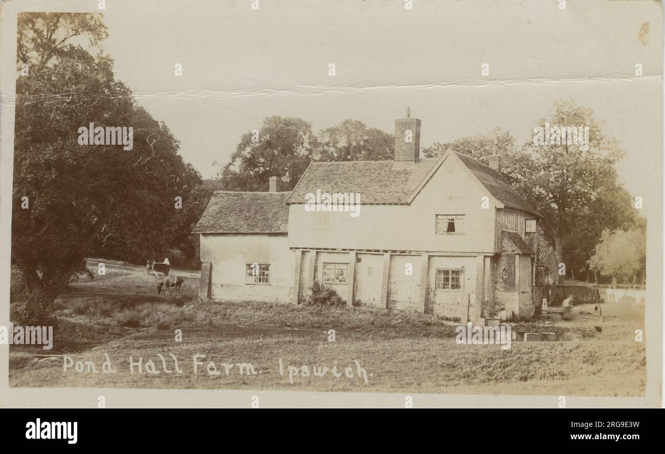 Pond Hall Farm, Gainsborough Lane, Ipswich, Suffolk, Angleterre. Banque D'Images