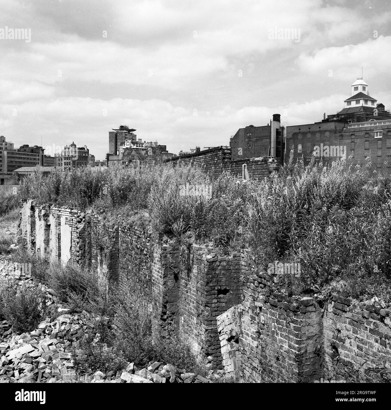 Années 1950, historiques, plantes poussant sur les vestiges de l'ancien mur de Londres, construit par les Romains autour de leur ville de Londinium pour la protéger des pillards anglo-saxons, Tower Hill, Londres, Angleterre, Royaume-Uni. Banque D'Images