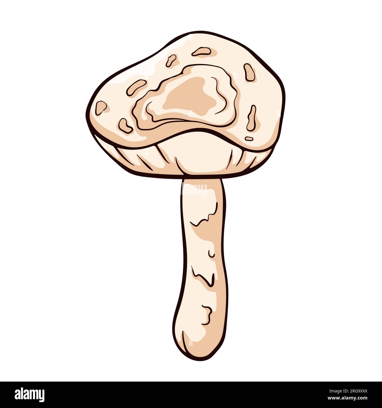Champignon non comestible Deadly Dapperling dans le style de bande dessinée. Toxique Lepiota brunneoincarnata dessiné à la main. Illustration vectorielle isolée sur un blanc Illustration de Vecteur