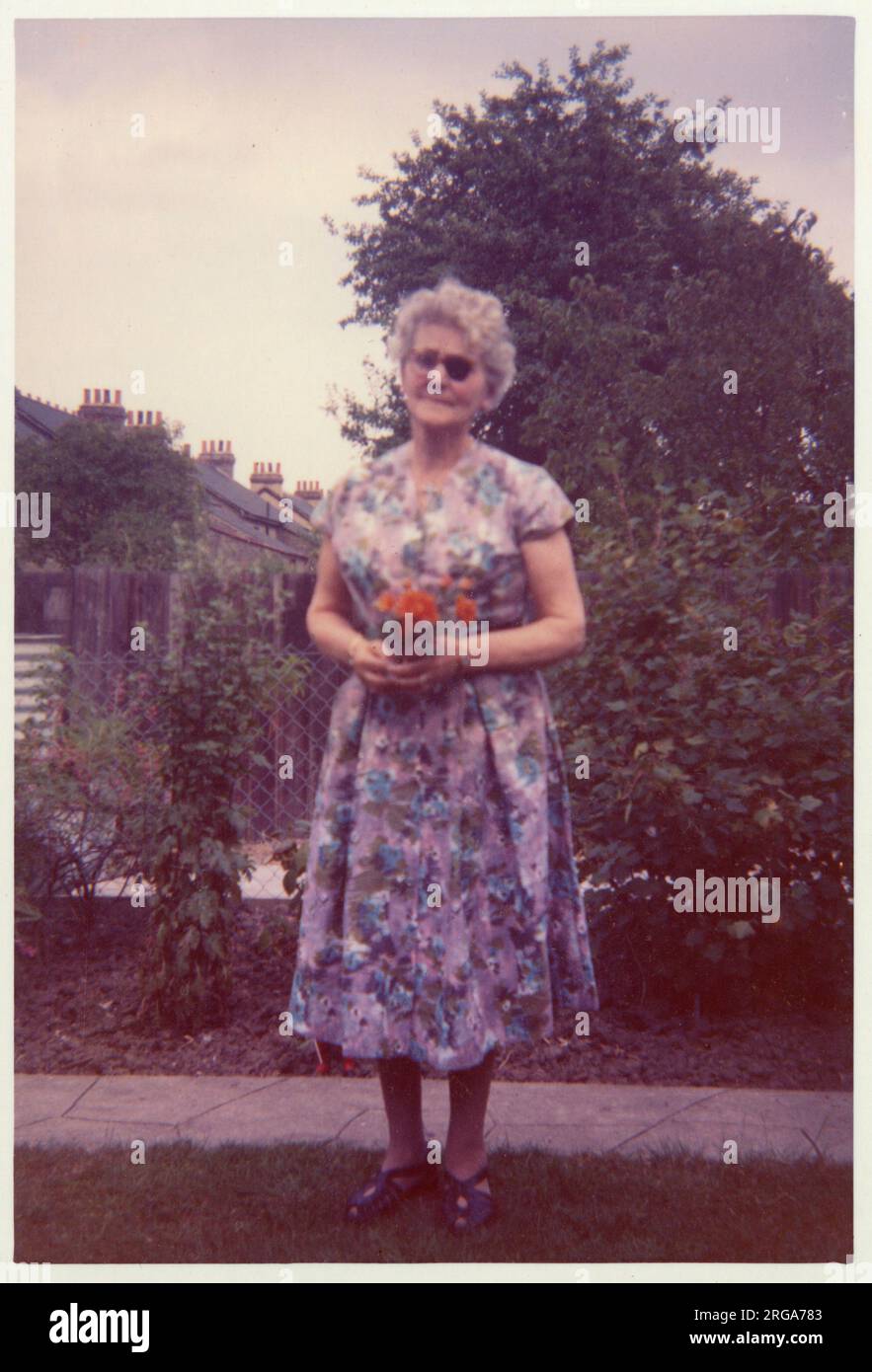 Une femme plus âgée, à l'état visuel réduit (avec un timbre oculaire), se baladant dans un jardin de banlieue soigné, tenant une posy de petites fleurs rouges - juillet 1961 Banque D'Images