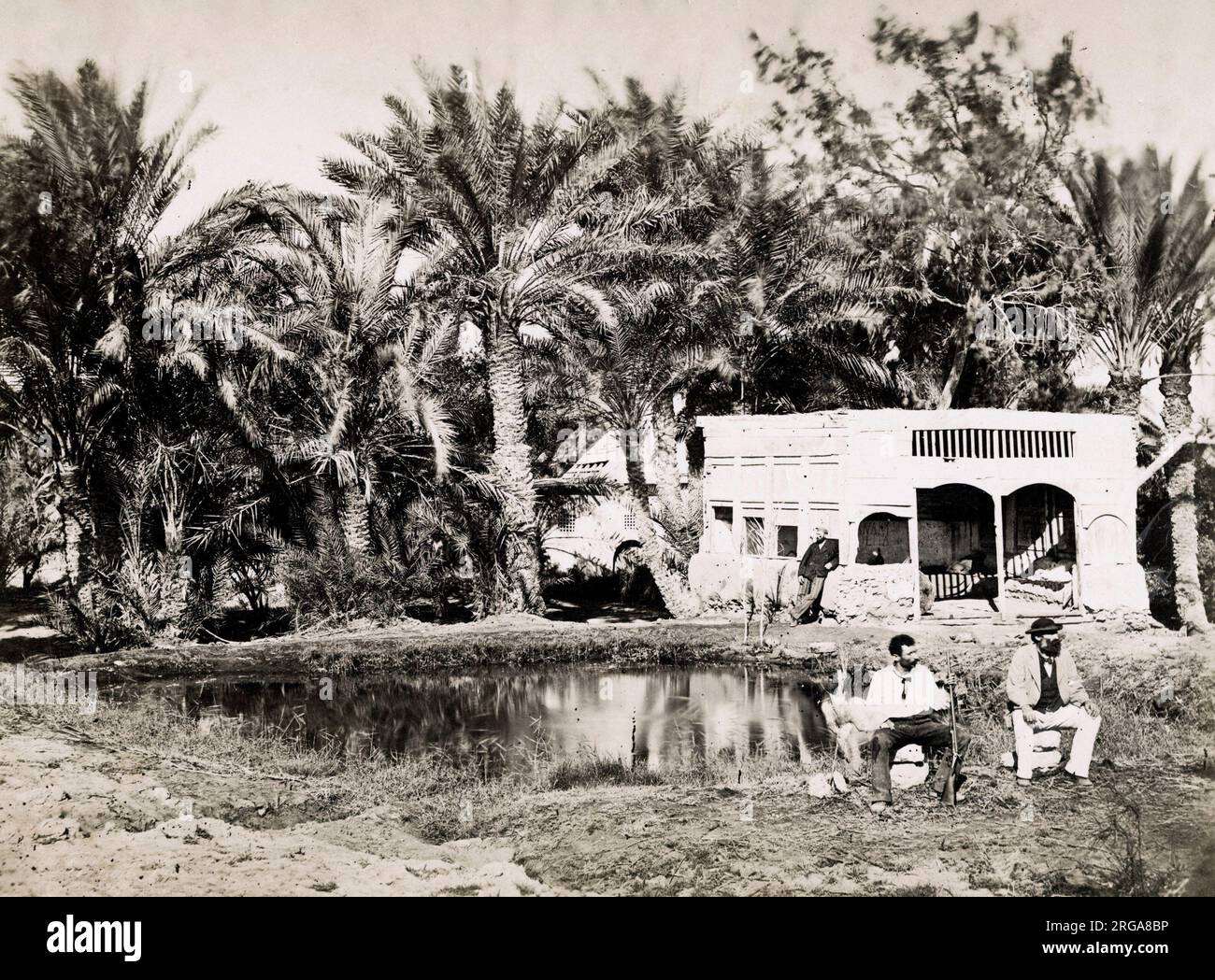 Ayun Musa, les puits de Moïse, Palestine, Terre Sainte. Photographie vintage du 19th siècle. Banque D'Images