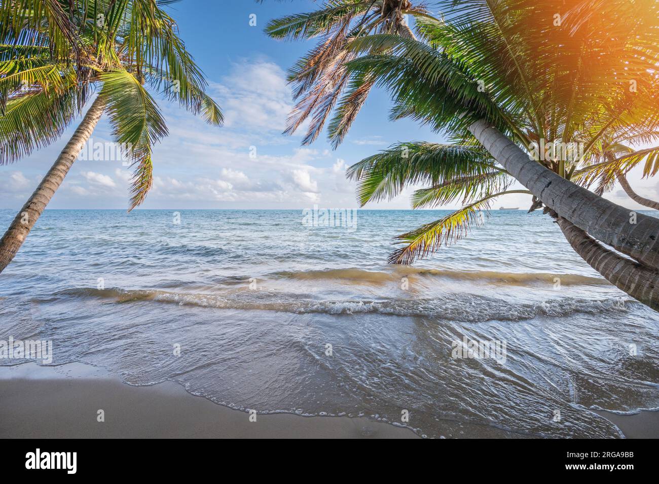 Plage de villégiature des Caraïbes au lever du soleil avec fond de cadre de palmier Banque D'Images