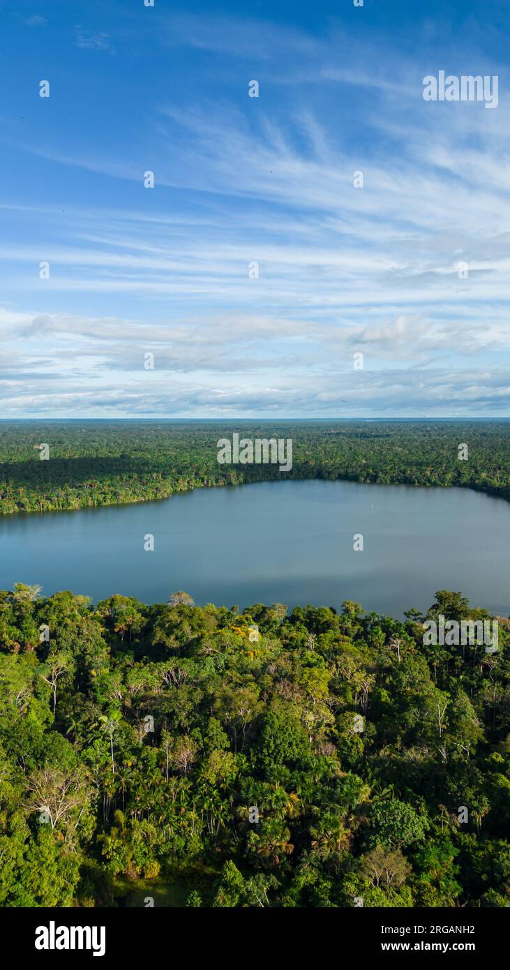 LAC, ENTOURÉ D'UNE JUNGLE DENSE, LES MÉANDRES SONT OBSERVÉS Banque D'Images