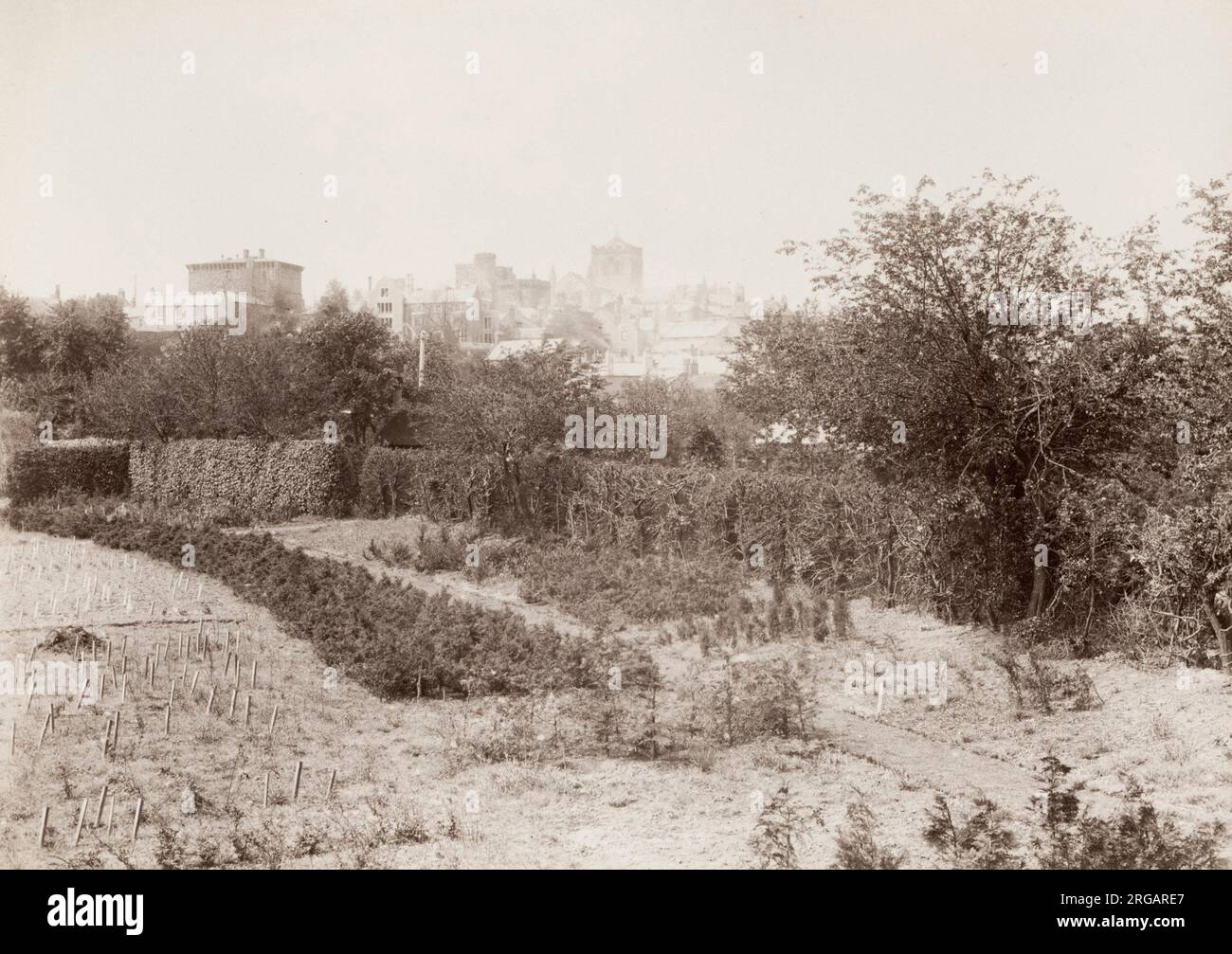Photographie vintage du XIXe siècle : Hexham de la série Nurseries. Banque D'Images