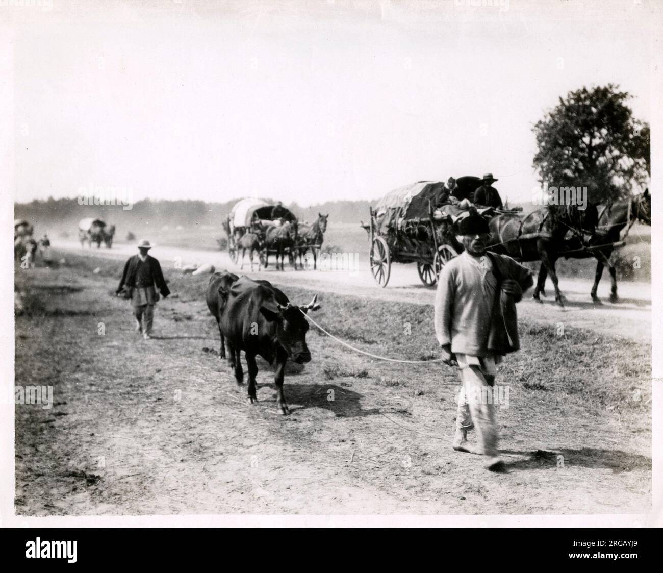 Réfugiés polonais de quitter Varsovie Pologne lors de l'invasion du pays pendant la Première Guerre mondial Banque D'Images