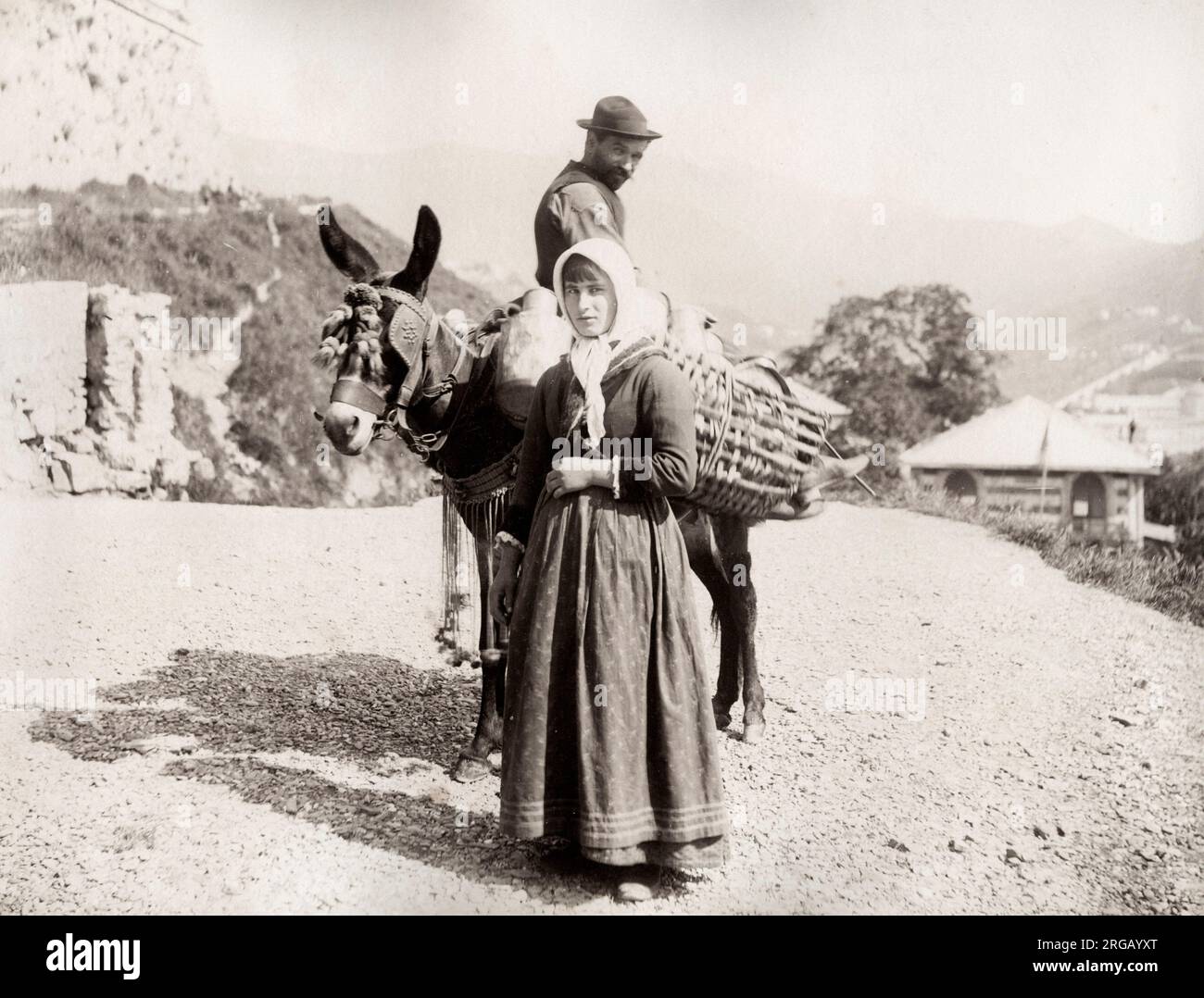 Photographie vintage du XIXe siècle - pack de ferme mule, probablement la France ou l'Italie, vers 1890. Banque D'Images