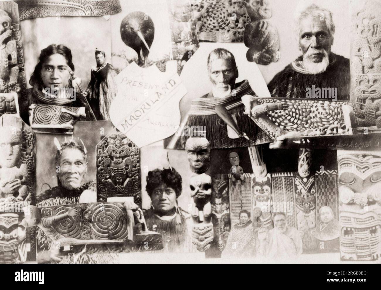 Photographie du XIXe siècle : images composites des Maoris, tirées d'un album souvenir touristique. Banque D'Images