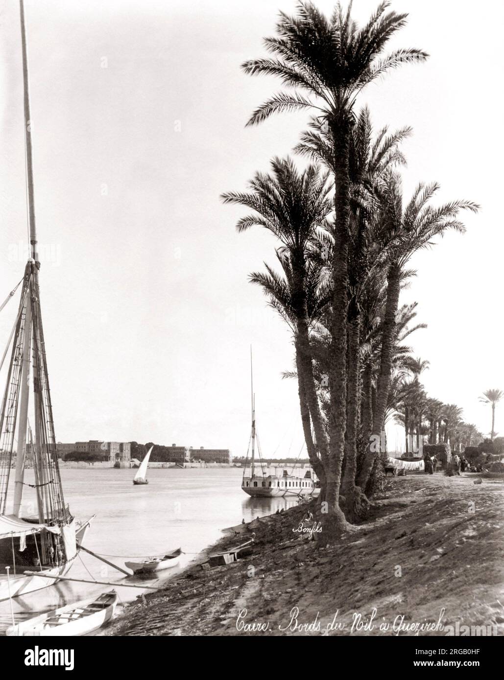 Des bateaux et des palmiers sur les rives du Nil, l'Egypte, c.1890 Banque D'Images