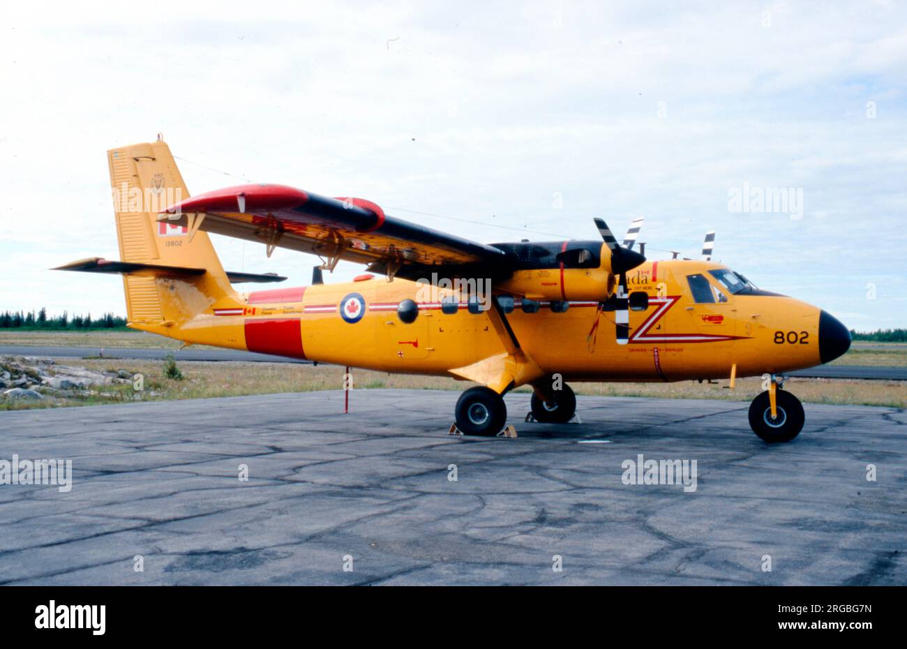 Forces armées canadiennes - de Havilland Canada CC-138 Twin Otter 13802 (msn 305, panneau d'appel '803') du 440 Escadron Banque D'Images