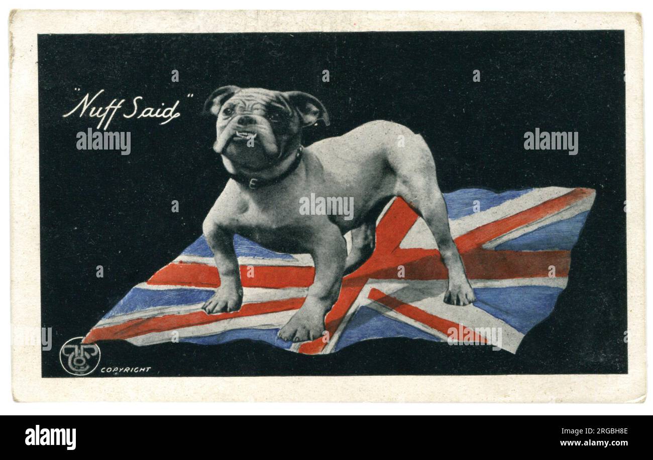 Le Bulldog et le drapeau de l'Union représentent l'esprit de combat de la nation 9 jours après la bataille de la somme. WW1 Banque D'Images