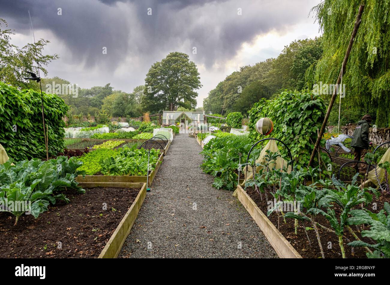 Le jardin du marché au Pig Hotel à Bridge, près de Canterbury, Kent. Banque D'Images