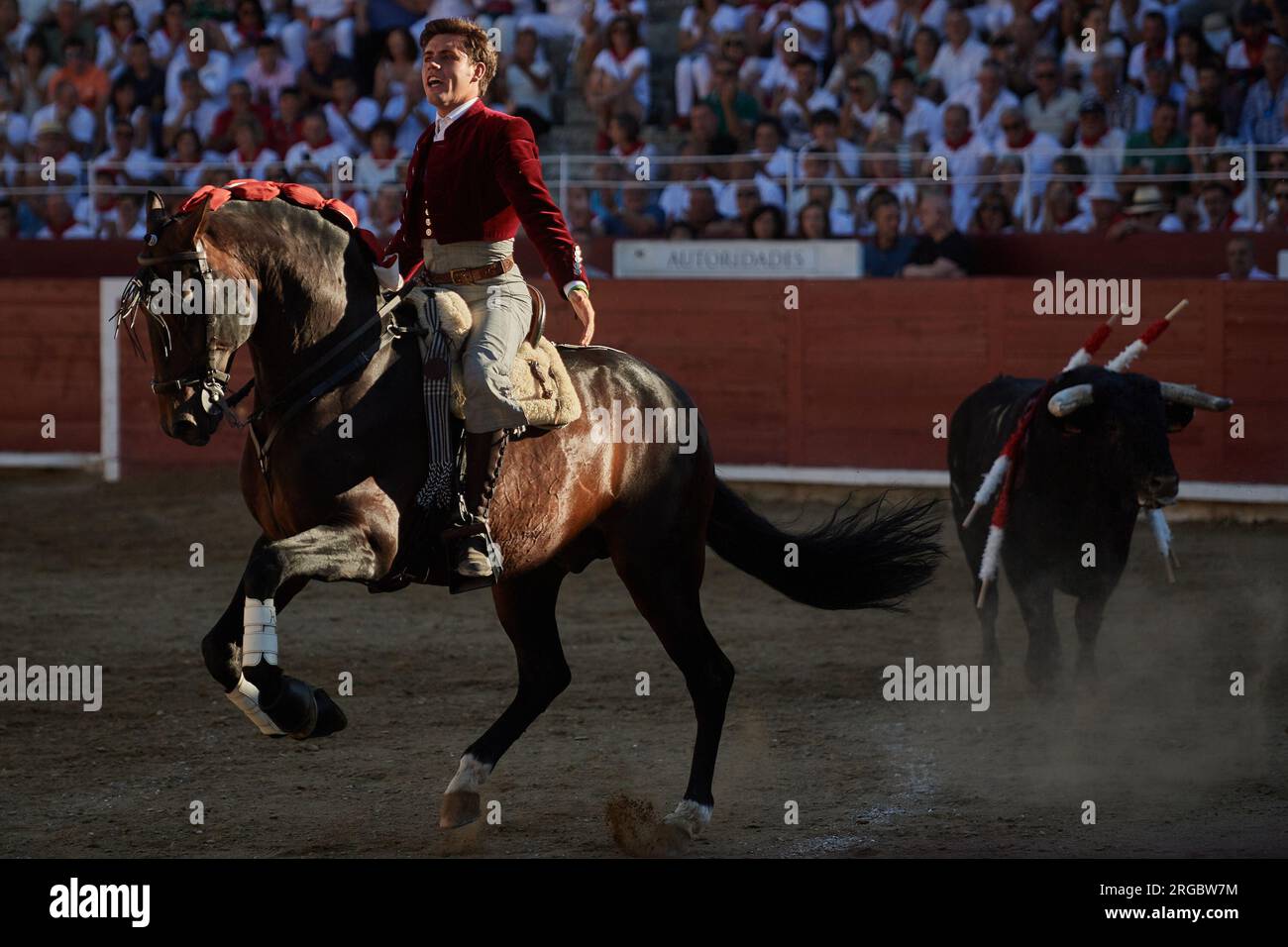 Pablo Ceval Guillermo Hermoso de Mendoza, sur le dos de son cheval lusitanien ...