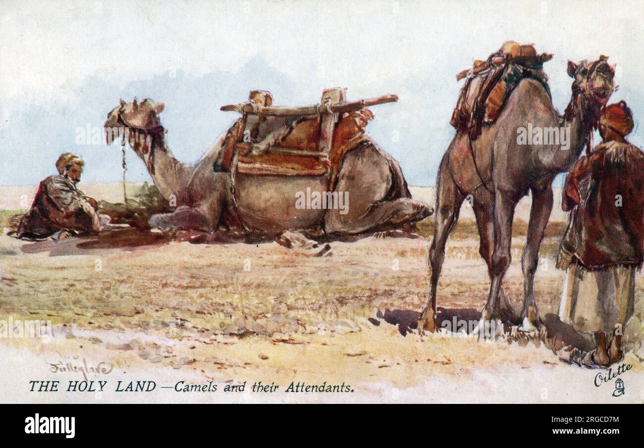 Le Moyen-Orient - la Terre Sainte - chameaux et leurs accompagnateurs. Banque D'Images