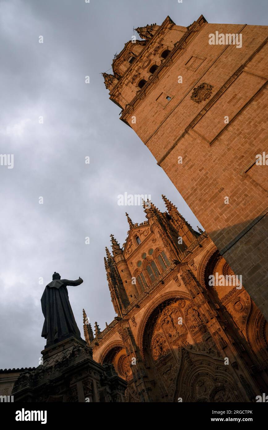 torres de la catedral de Salamanca Banque D'Images