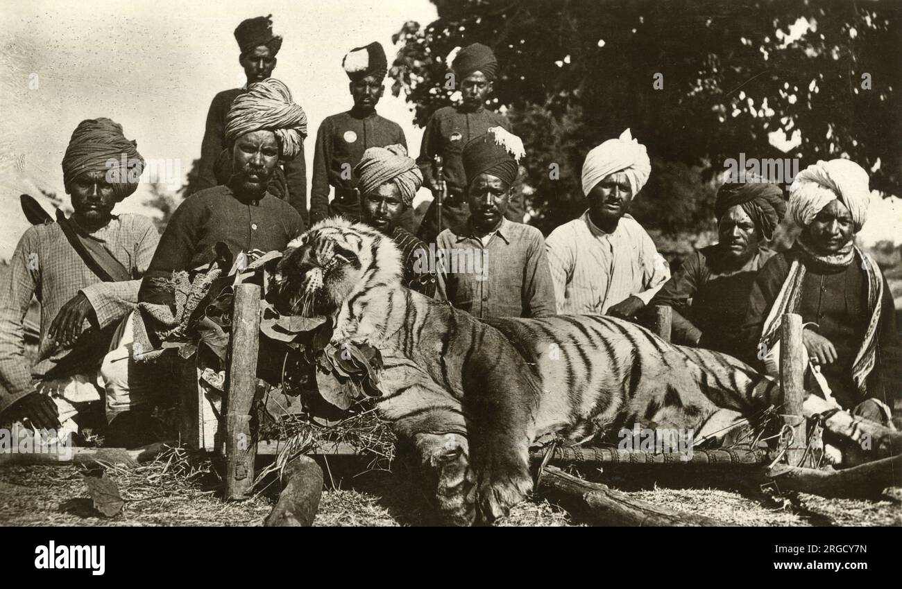 Chasse au tigre en Inde Banque D'Images