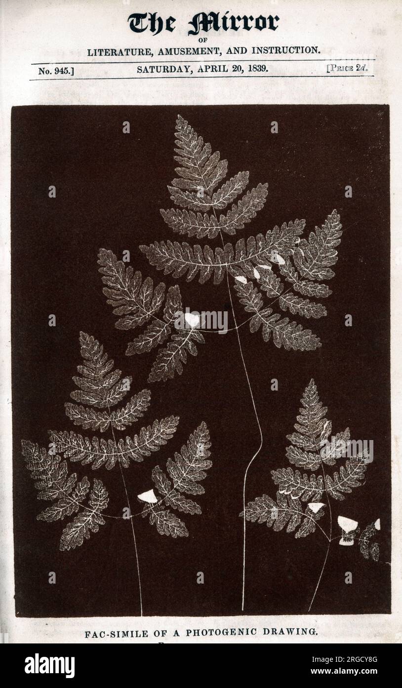 Première photographie publiée, William Fox-Talbot télécopie d'un dessin photogénique montrant des feuilles de fougères. Banque D'Images