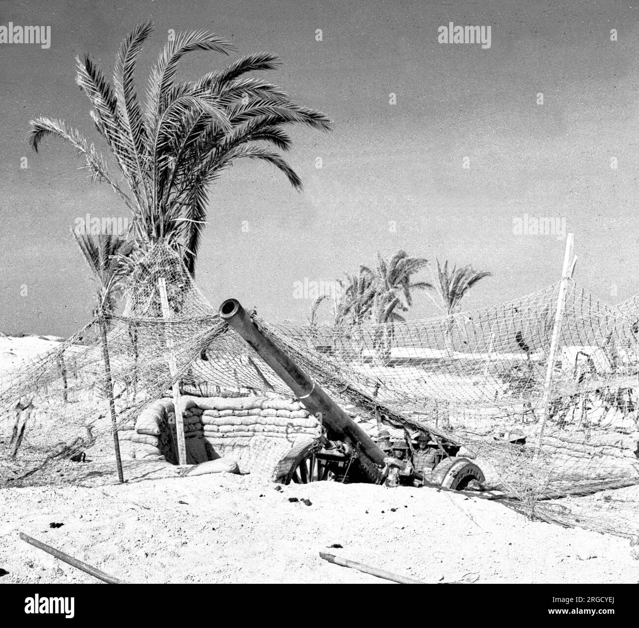 Artillerie royale – Un canon d'artillerie à 60 canons en position camouflée (à peine) dans le désert occidental. Banque D'Images