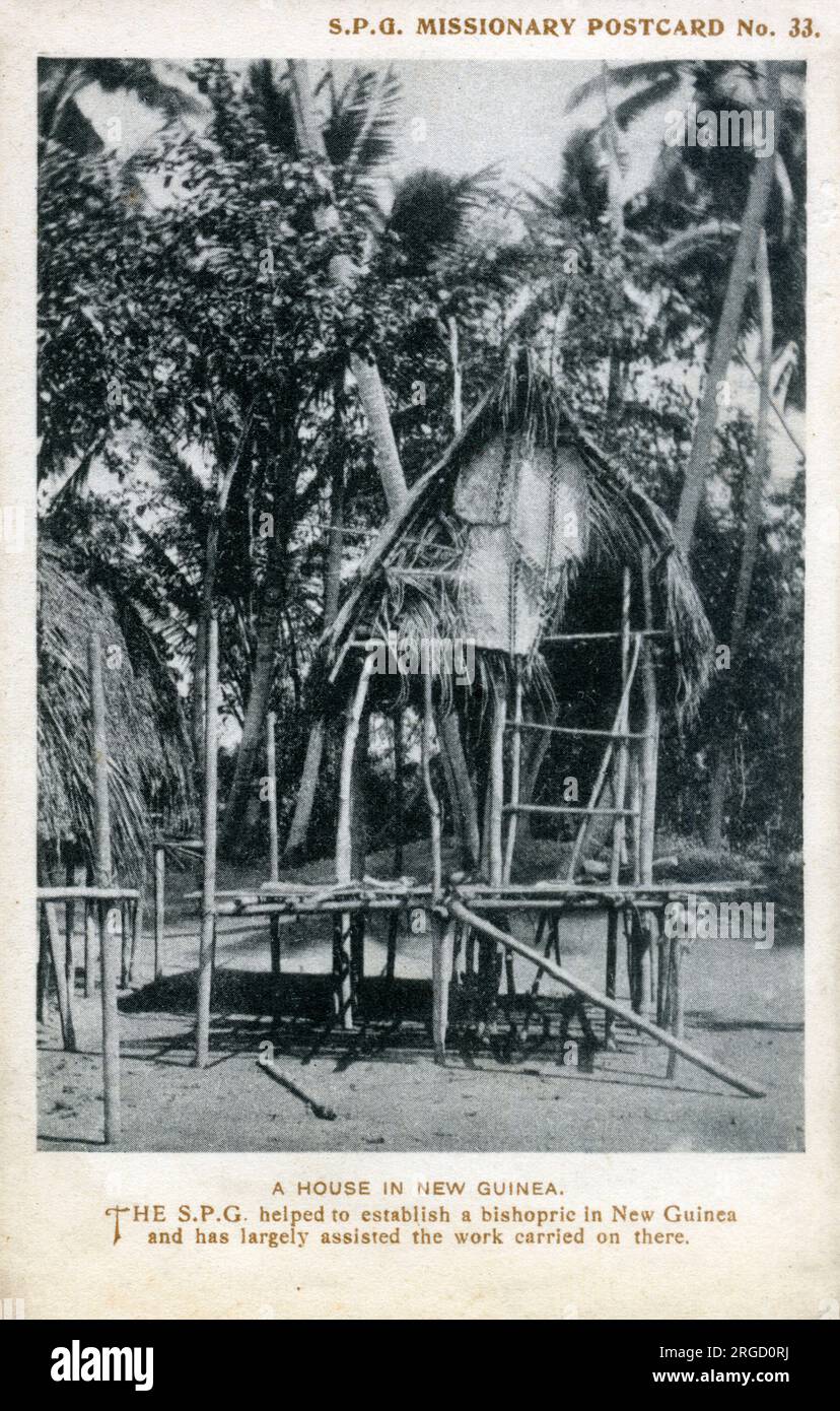 Une maison en Nouvelle Guinée. Banque D'Images