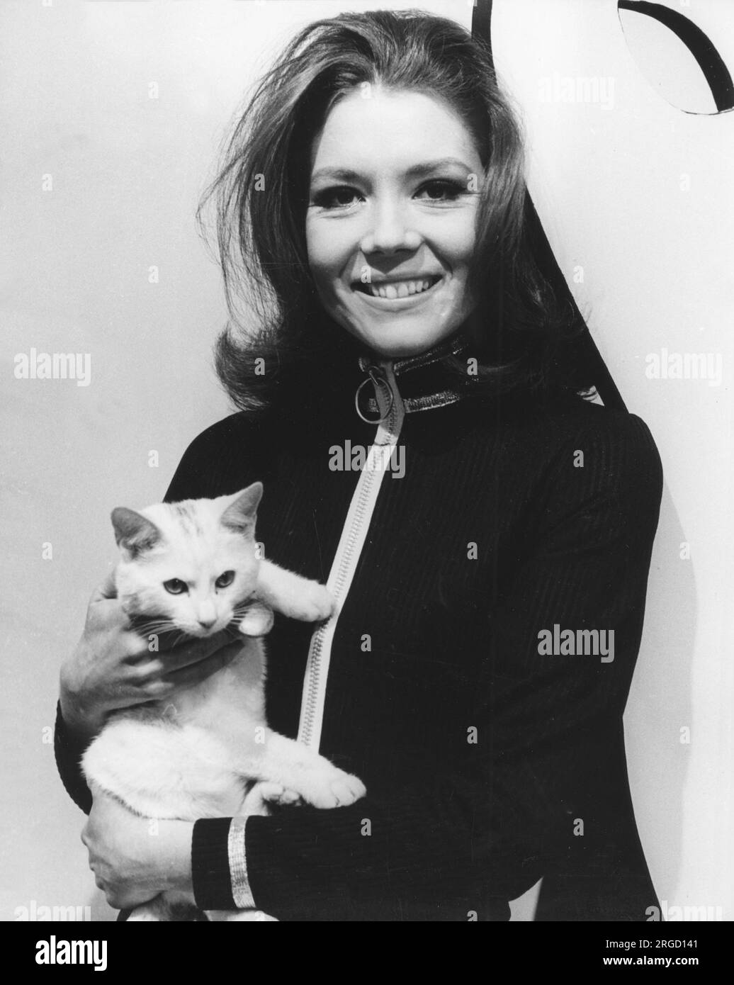 Capture d'écran de la charmante Diana Rigg dans le rôle d'Emma Peel, dans l'emblématique « The Avengers » de la télévision. Banque D'Images