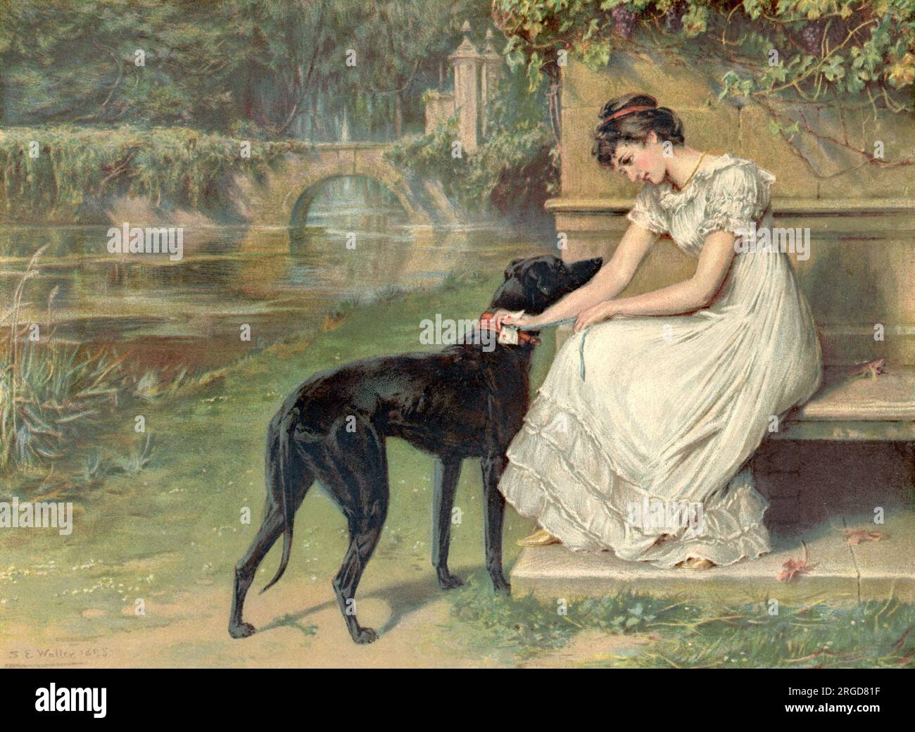 Love's Messenger par S.E. Waller, Valentine, Love Letter, Greyhound Banque D'Images