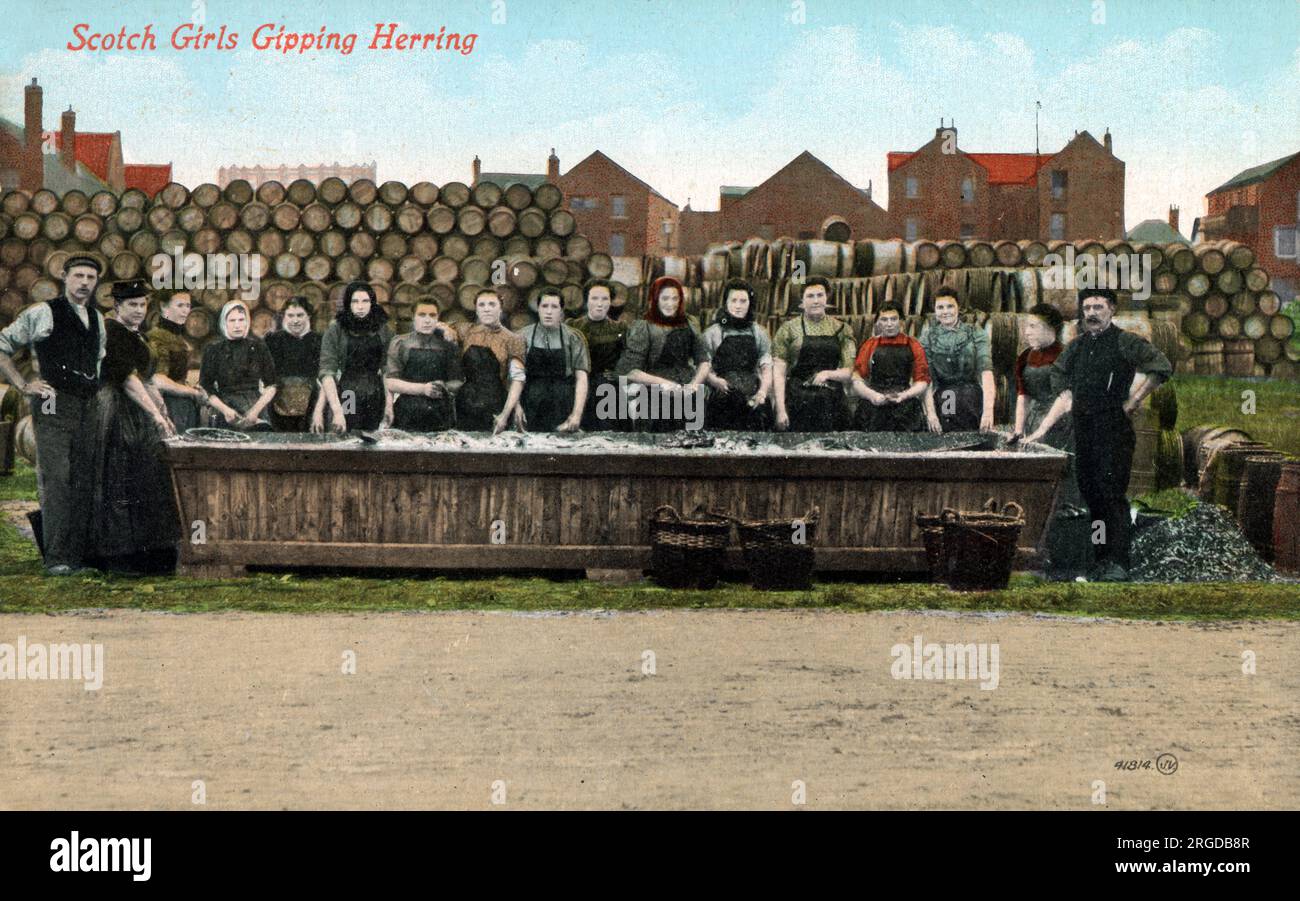Scottish Fisher Girls - Scarborough, North Yorkshire - éviscération (ou 'Gipping') hareng Banque D'Images