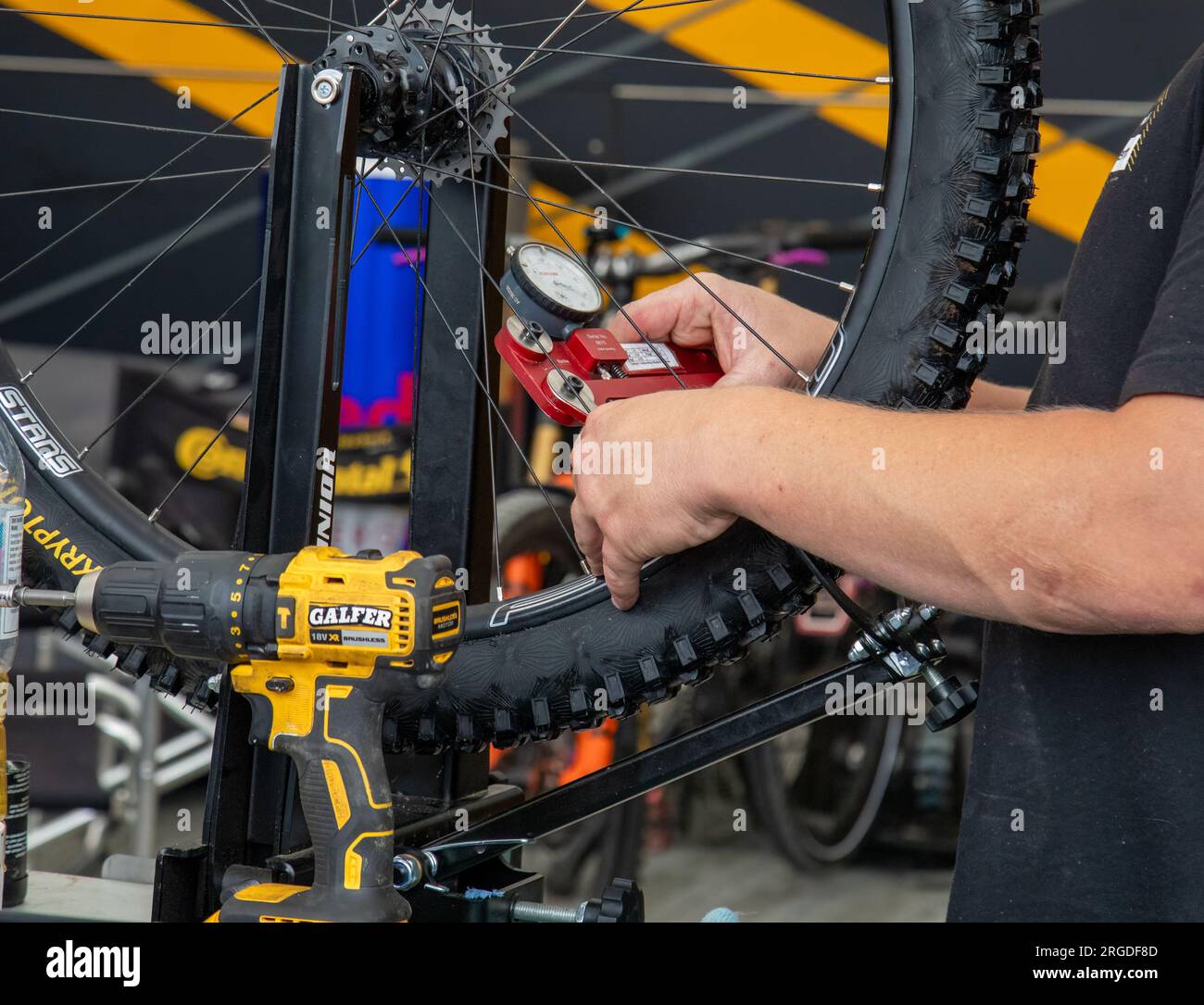 Ingénieur vélo vérifiant la tension des rayons sur une roue de vélo de montagne Banque D'Images