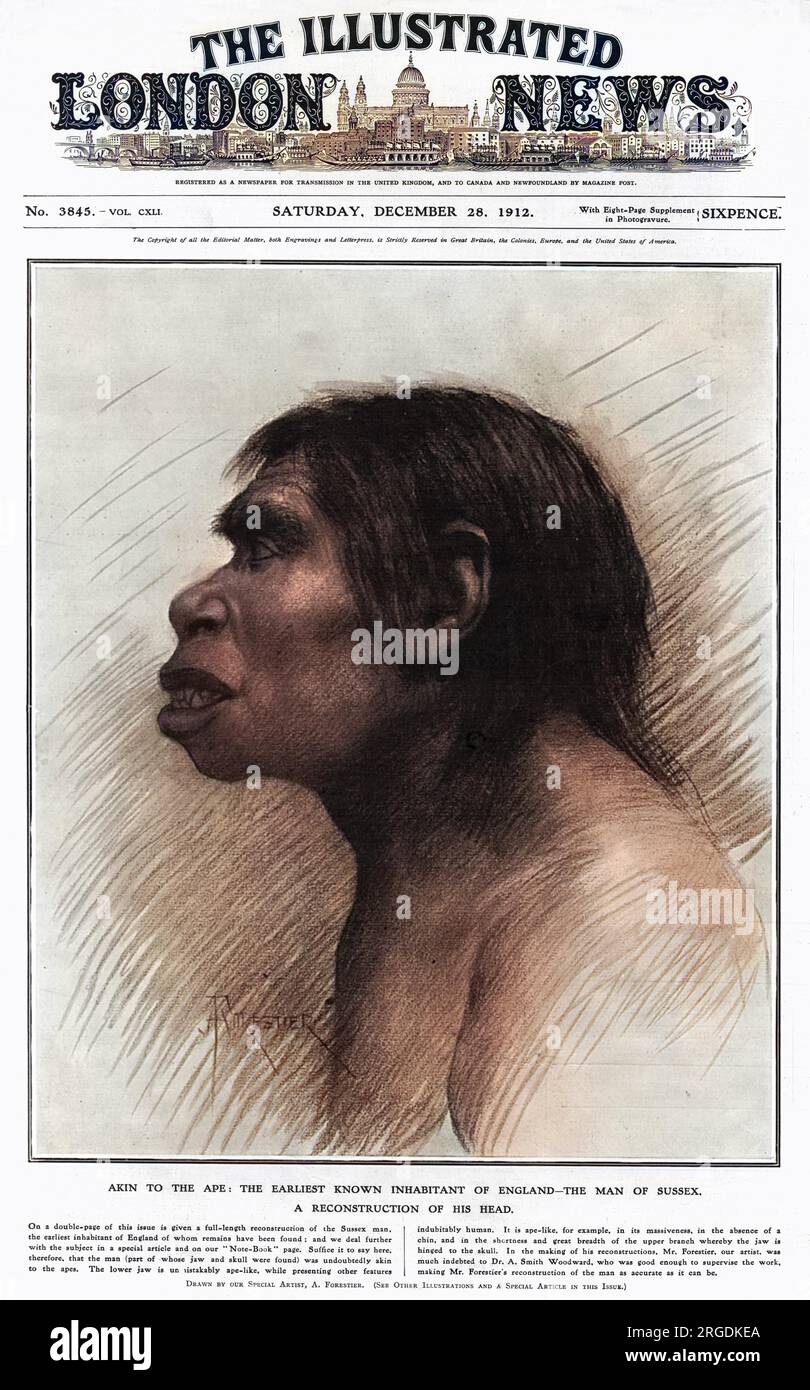 Une illustration du « premier habitant connu de l'Angleterre », basée sur les fragments de crâne et de mâchoire prétendument découverts dans une gravière à Piltdown, East Sussex, Angleterre. Considéré à l'époque comme le «chaînon manquant» entre le singe et l'homme, certains scientifiques doutaient que ce soit ce qu'il était censé être. En 1953, il a été prouvé qu'il s'agissait d'un canular, une combinaison du crâne d'un homme médiéval, de la mâchoire d'un orang-outan et des dents de chimpanzé. Banque D'Images