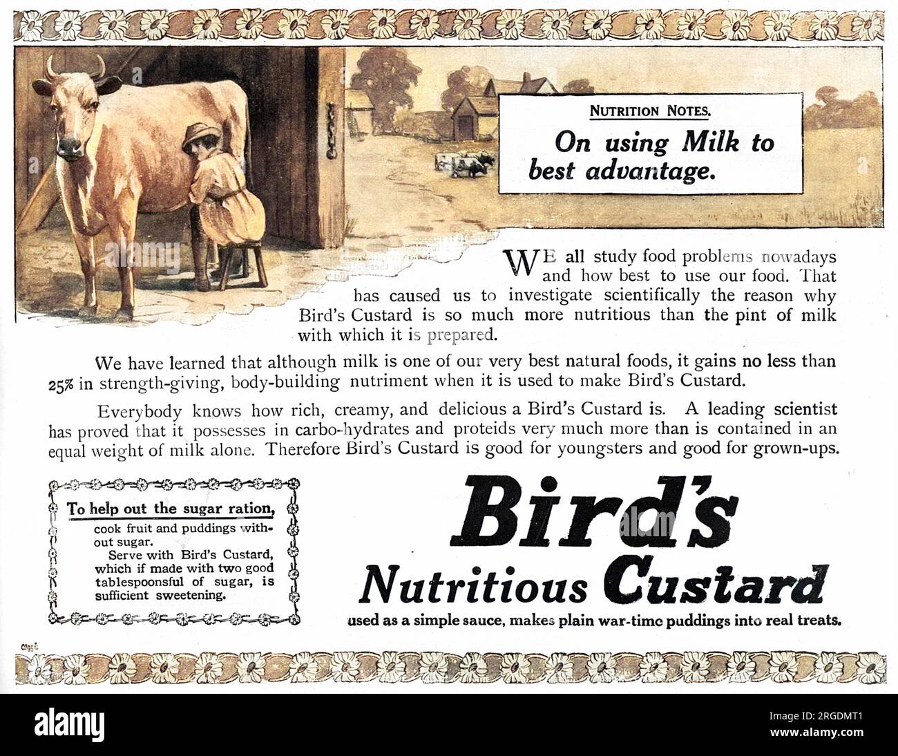 Publicité pour Bird's 'nutritive' Custard, avec une illustration d'une fille de la terre traire une vache et des conseils sur la nutrition suggérant qu'il utilise le lait au mieux et pour aider à la ration de sucre, servir la crème Bird's qui comprend deux bonnes cuillères à soupe de sucre. Banque D'Images