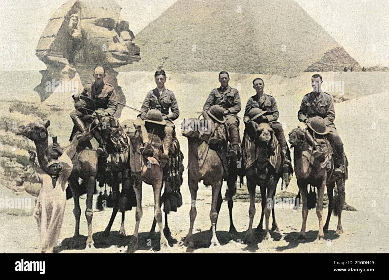 Des officiers de l’unité de Camelry photographiés posèrent sur leurs montures, devant le Sphinx et les pyramides de Gizeh pendant la première Guerre mondiale. De gauche à droite, le capitaine H. S. Scott, le lieutenant Ward, le lieutenant H. Thompson, le lieutenant A. L. Elliott et le lieutenant Swindlehurst. Banque D'Images