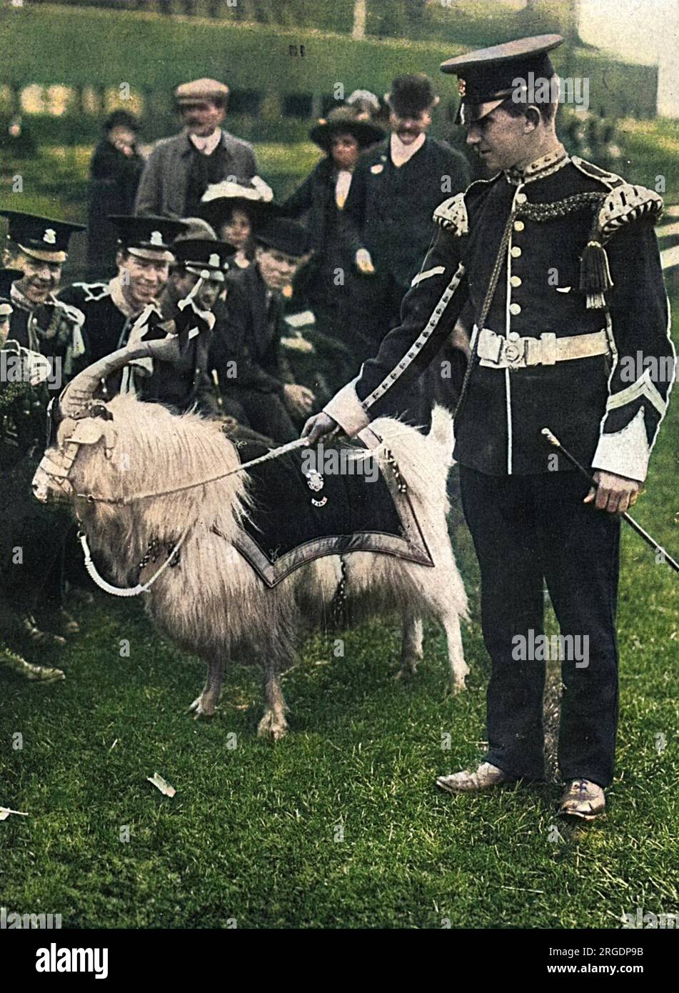 La chèvre billy, la mascotte animale du Welsh Regiment photographiée lors d'un match de football en septembre 1914. Il porte une tunique portant l'un des emblèmes du régiment, le Prince of Wales plumes. Banque D'Images