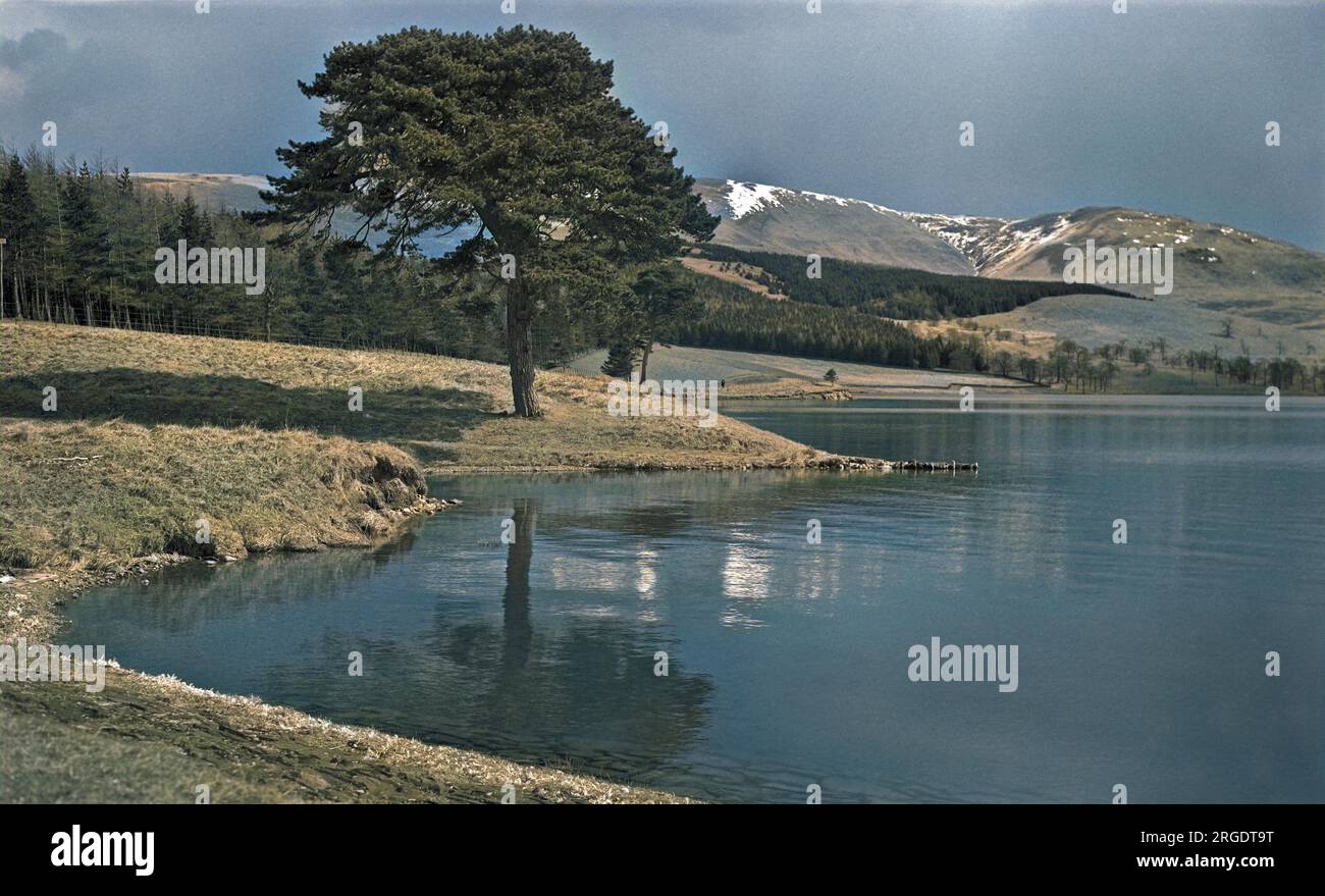 Une belle scène de campagne avec une étendue d'eau (Portmore Loch, Écosse), un arbre, et des collines ondulantes avec une dispersion de neige sur le dessus. Banque D'Images