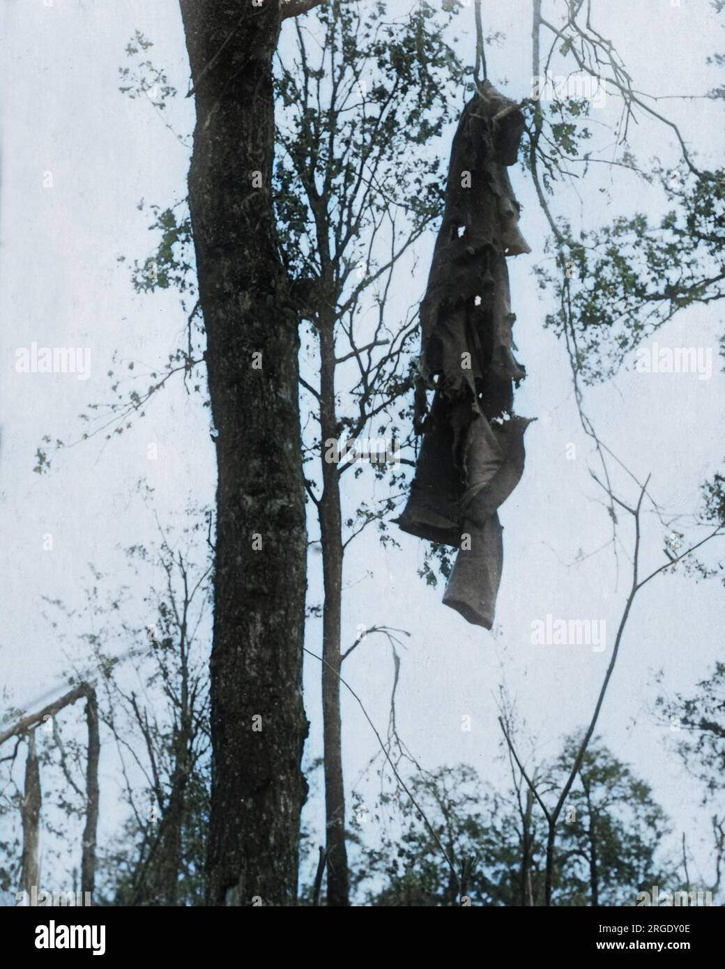 Un pardessus allemand suspendu à un arbre sur le front occidental pendant la première Guerre mondiale -- une vue fréquente, probablement le résultat de tirs d'obus. Banque D'Images