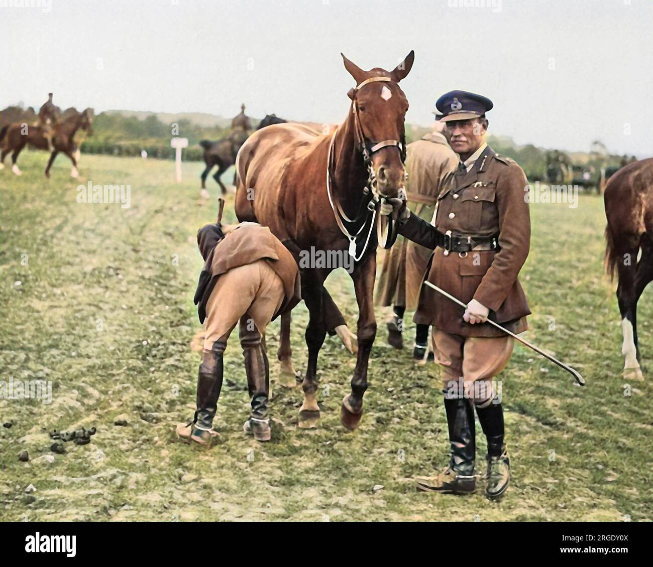 Spectacle équestre de la Division Nouvelle-Zélande près du front occidental pendant la première Guerre mondiale. Banque D'Images