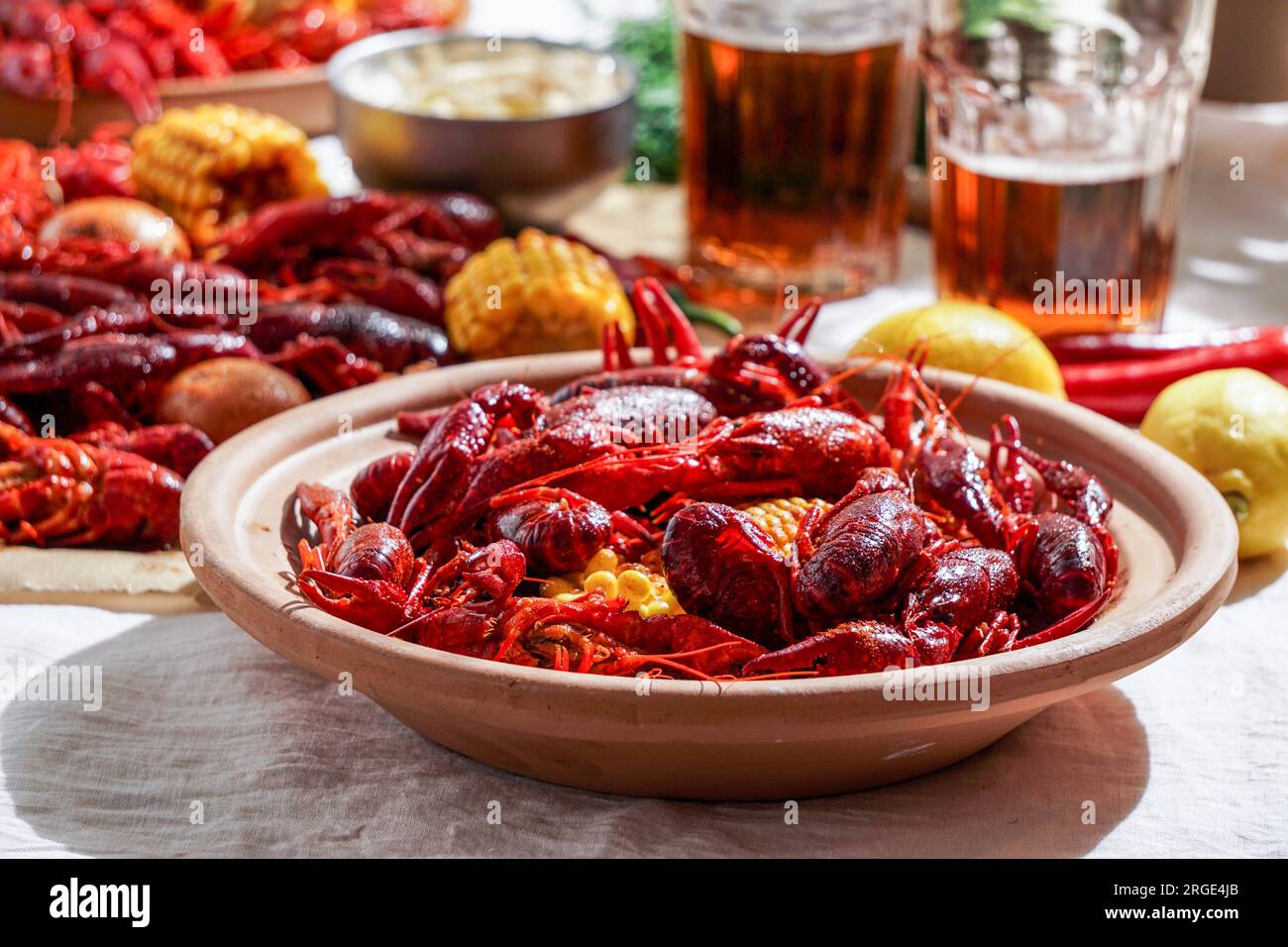 Fête des écrevisses, Louisiane bouillie, maïs sur l'épi, pommes de terre. Langoustes bouillies dans des assaisonnements cajun et des herbes. Avec bière, Nouvelle-Orléans, classique cajun Banque D'Images