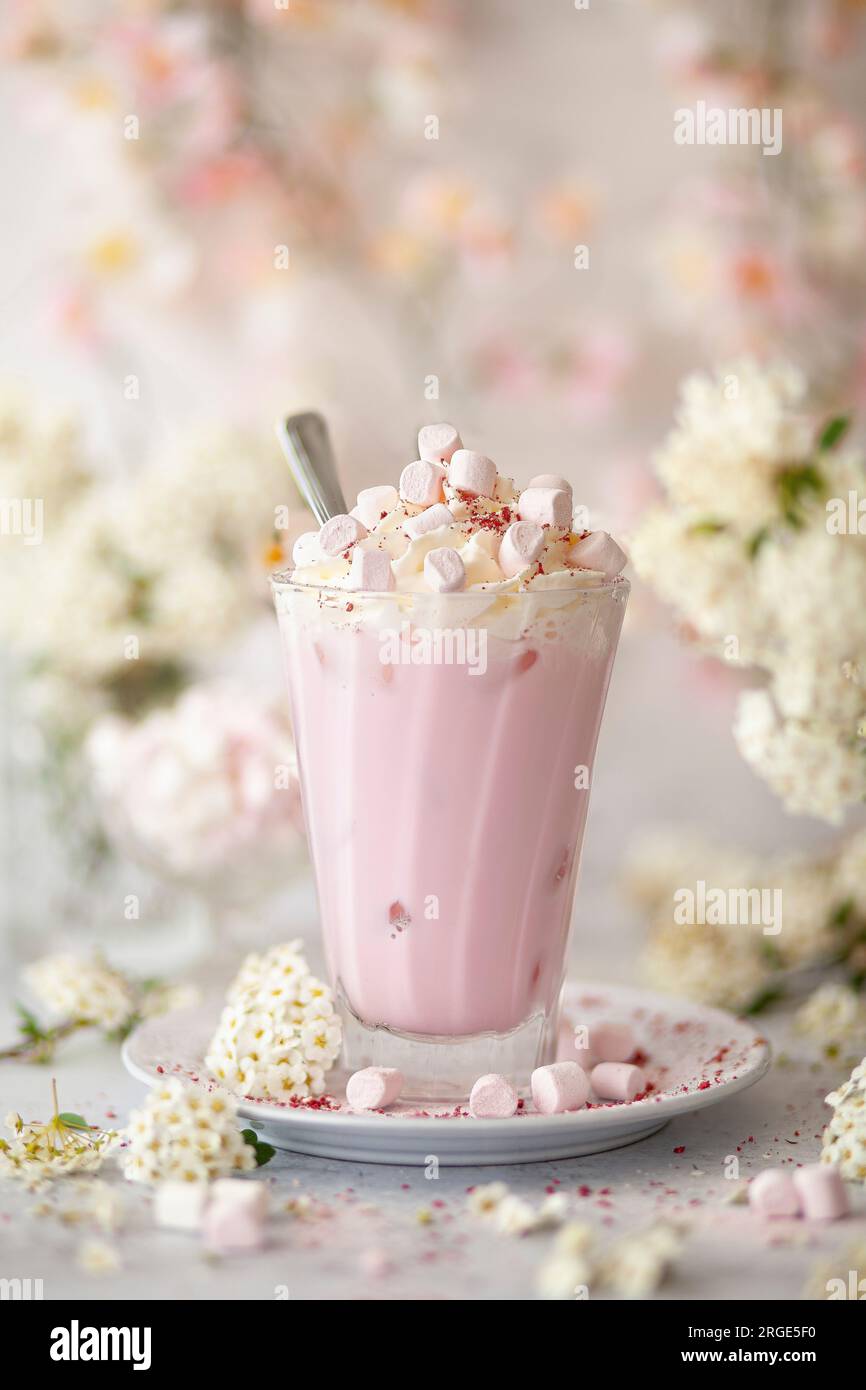 Une boisson au chocolat chaud rose servie sur de la glace et garnie de crème fouettée et de guimauves. Banque D'Images