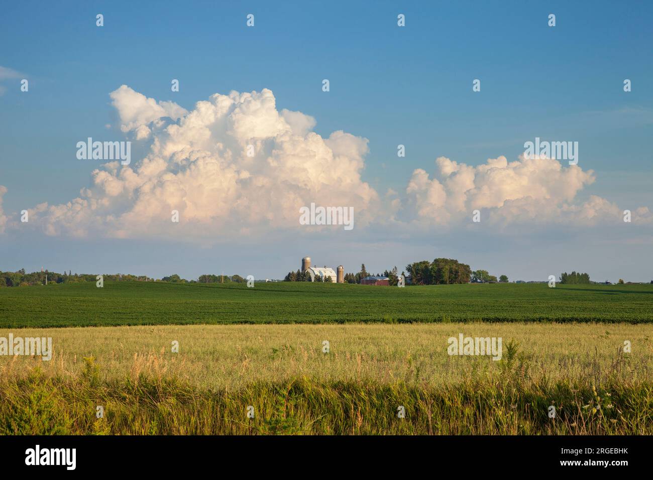 Ferme et champs sous des nuages spectaculaires sur une soirée ensoleillée dans le Minnesota Banque D'Images