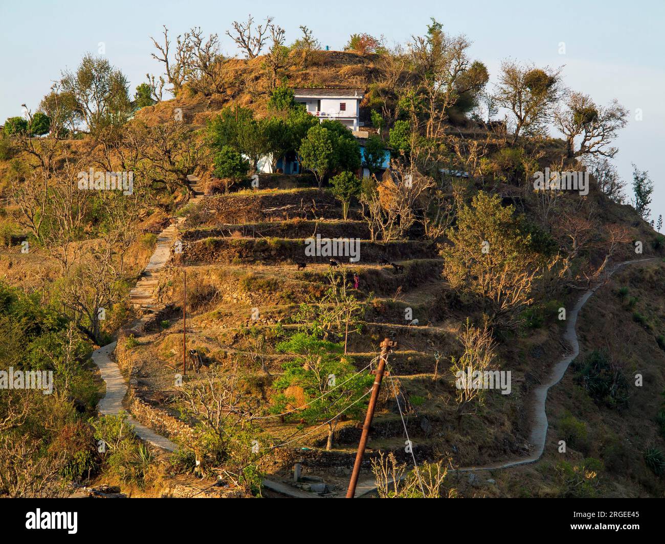 Tulla Kote Village sur la région de Tallas des, où Jim Corbett vient après le Tallas des Maneater, Kumaon Hills, Uttarakhand, Inde Banque D'Images