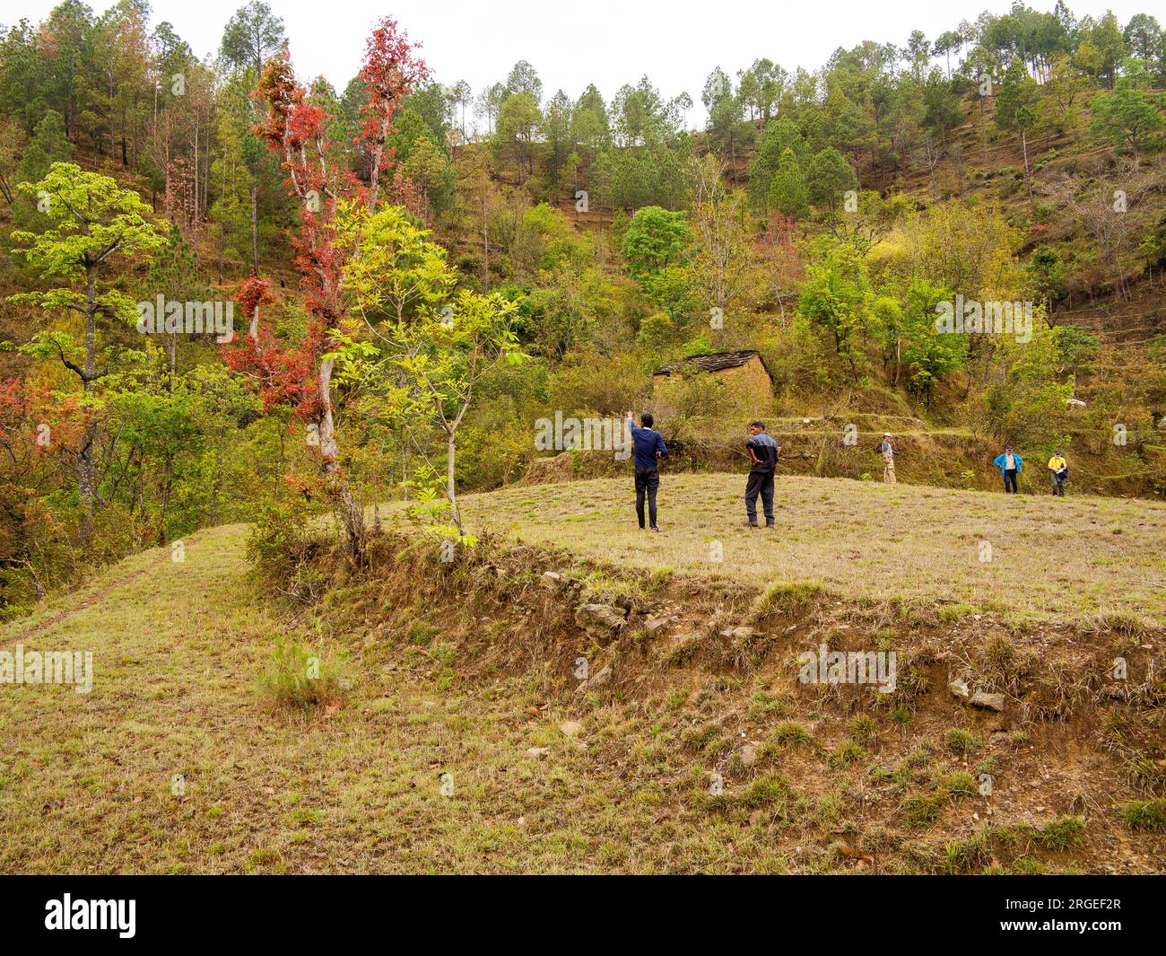 Champ en terrasses au village de Sanouli, où Jim Corbett a tiré sur le mangeoire de Panar, Uttarakhand, Inde Banque D'Images