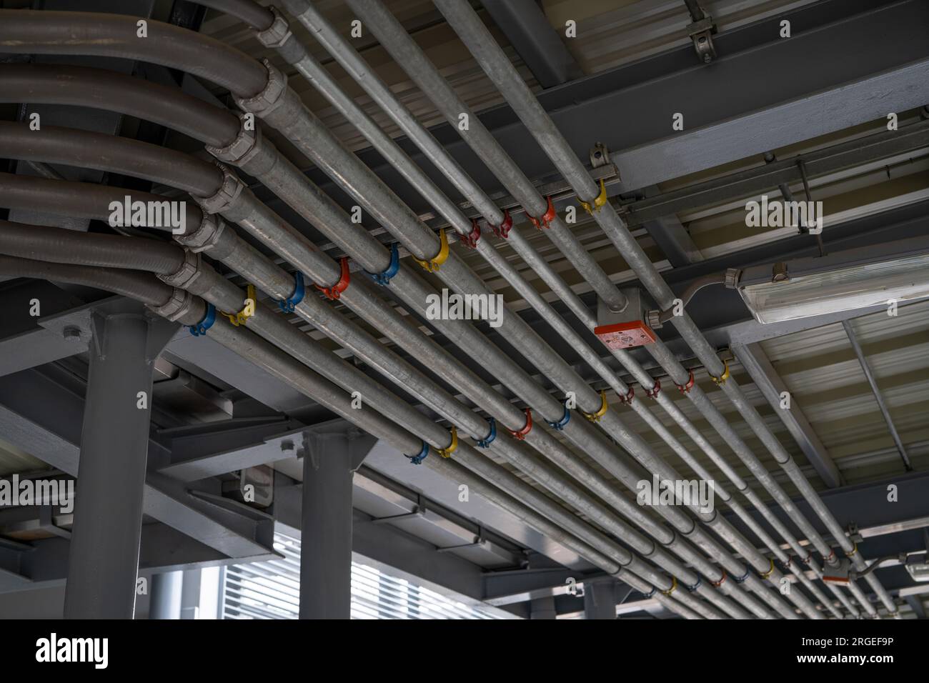 Système de conduit électrique et tube de câble électrique installé sur le plafond d'un bâtiment. Infrastructure industrielle. Installation efficace du câblage électrique Banque D'Images