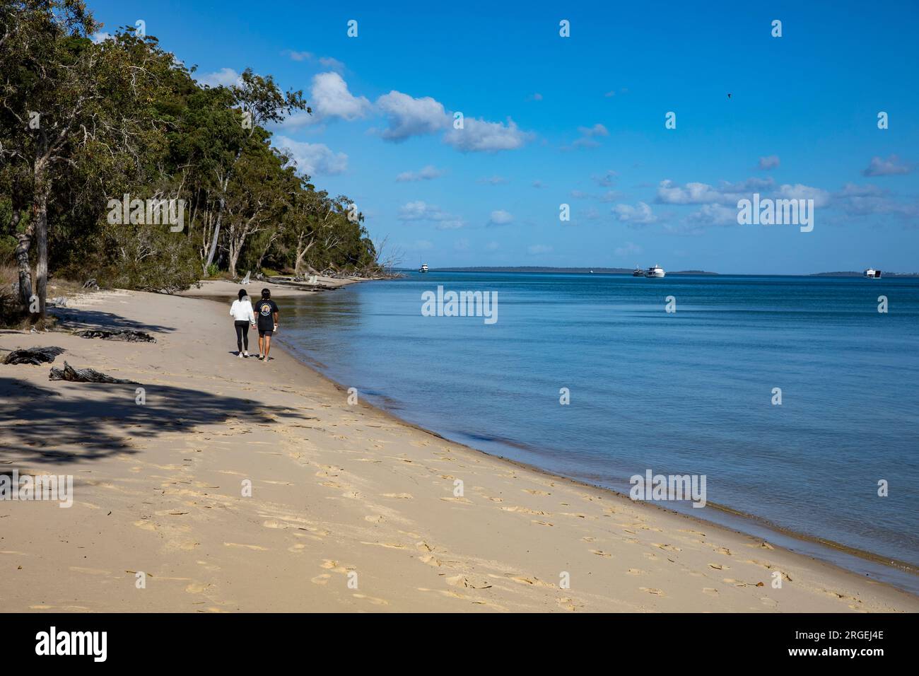 Jeune couple se tenant la main marchant le long de la plage sur Fraser Island, K'gari, à Kingfisher Bay, Queensland, Australie, 2023 Banque D'Images