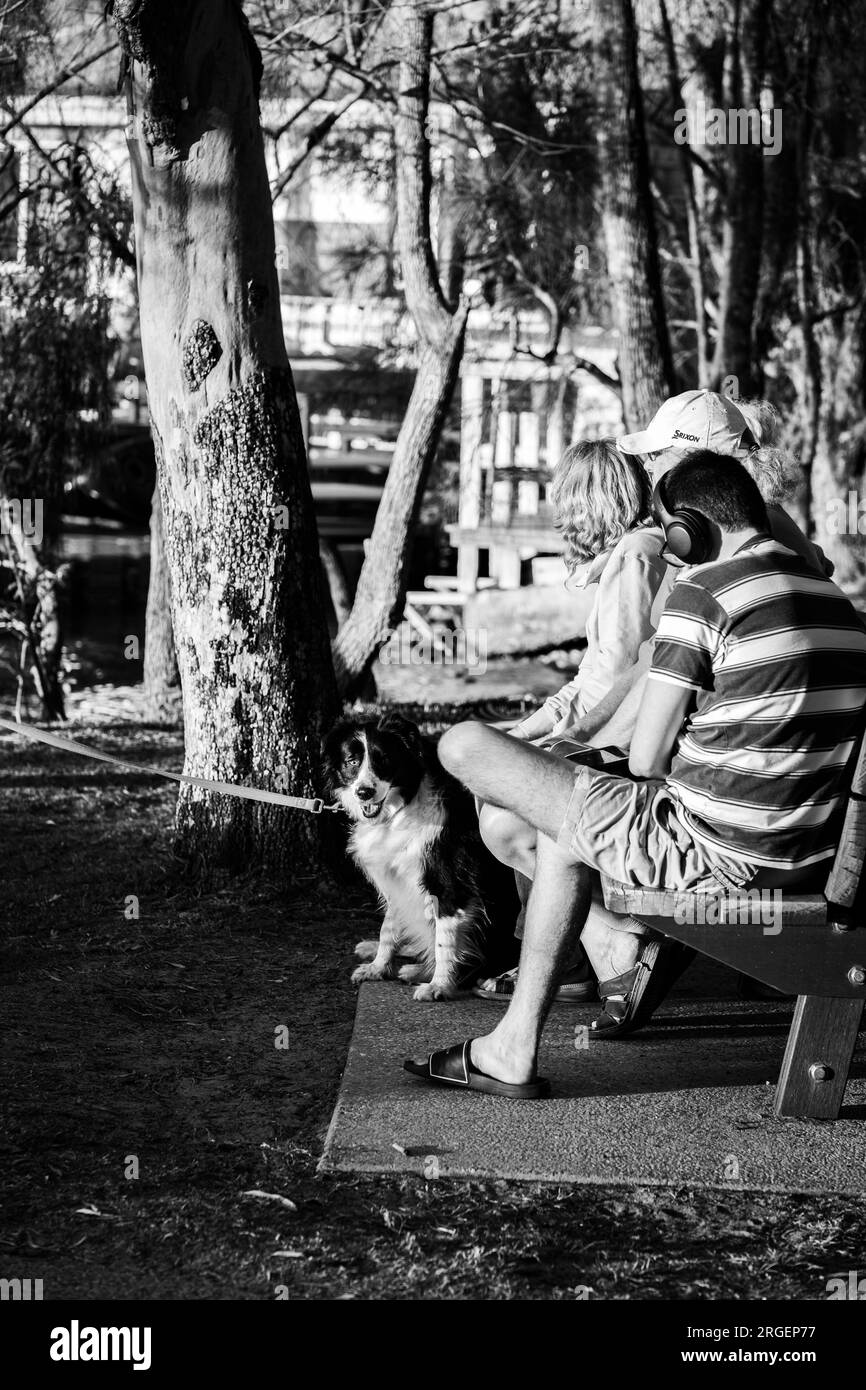 Une famille avec leur animal de compagnie, prenant un repos sur un banc de parc après la promenade matinale Banque D'Images