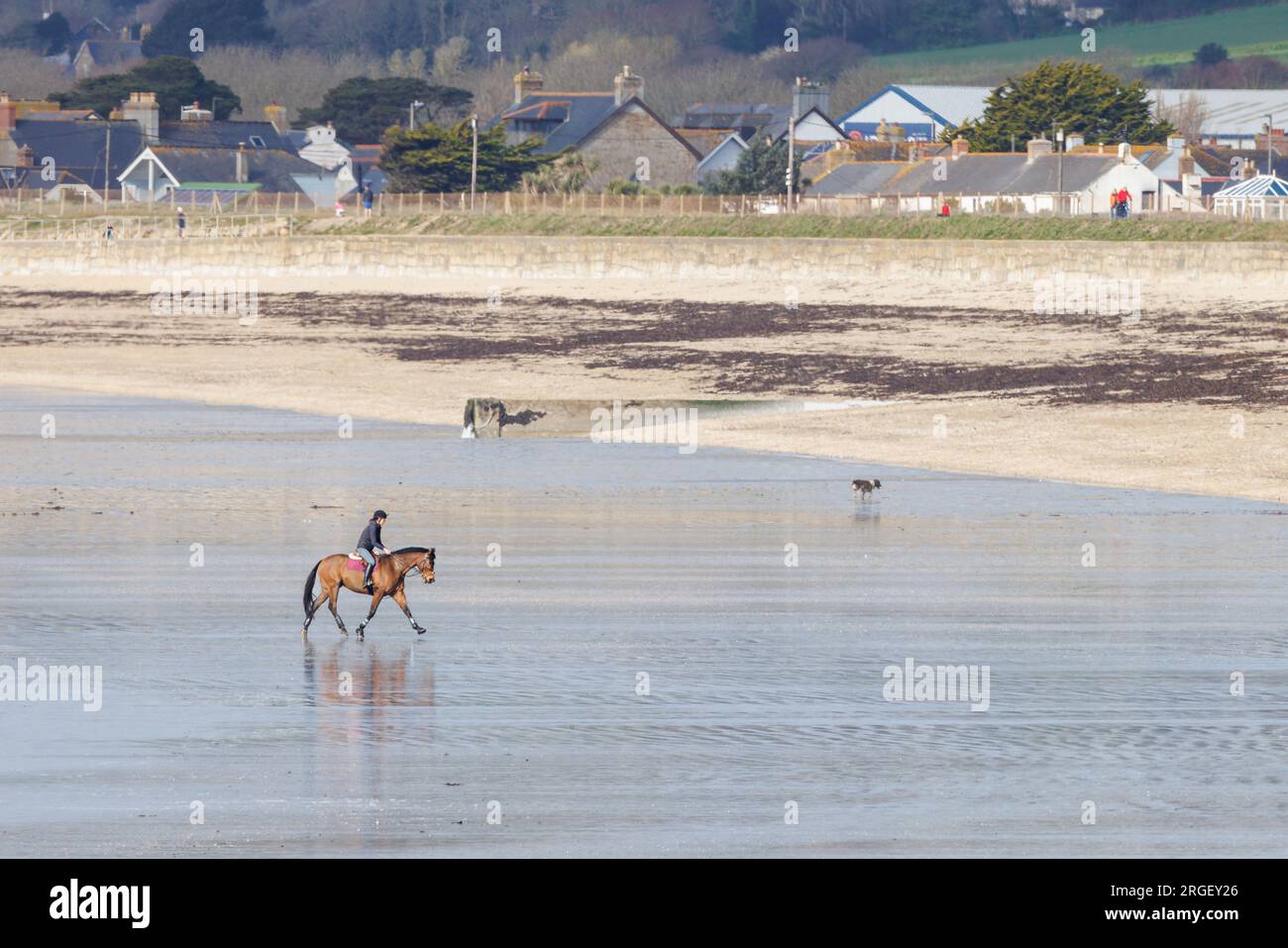 Cheval et cavalier sur la plage de Cornwall, Royaume-Uni Banque D'Images