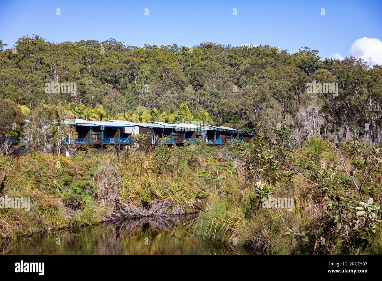Kingfisher Bay Resort de vacances sur Fraser Island K'gari, entouré par la nature et le Bush australien sur cette île de sable, Queensland, Australie Banque D'Images Kingfisher Bay Resort de vacances sur Fraser Island K'gari, entouré par la nature et le Bush australien sur cette île de sable, Queensland, Australie Banque D'Images