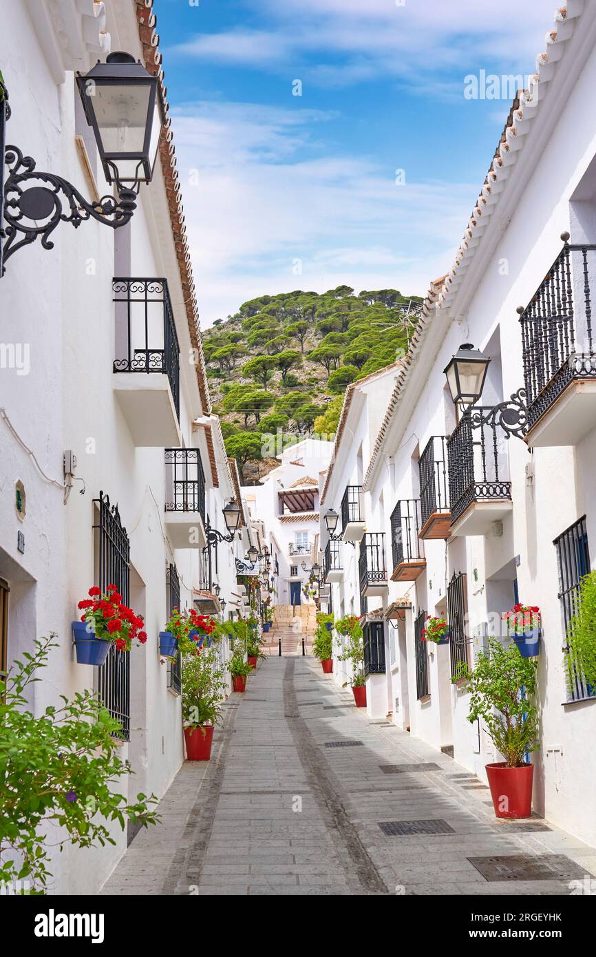 Rue dans la Mijas, villages blancs, Costa del sol, province de Malaga, Andalousie, Espagne Banque D'Images