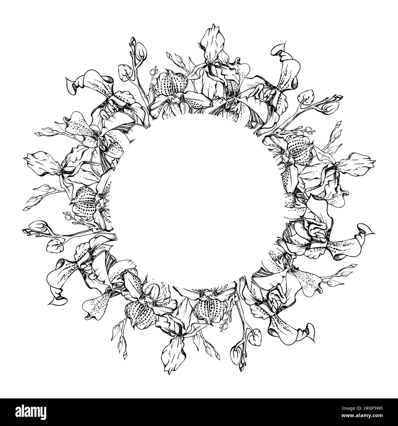 Fleurs et branches d'orchidées à encre vectorielle dessinées à la main, monochrome, contour détaillé. Composition de couronne circulaire. Isolé sur fond blanc. Conception pour Illustration de Vecteur